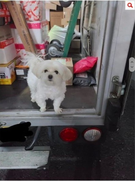 온라인 커뮤니티 네이트판