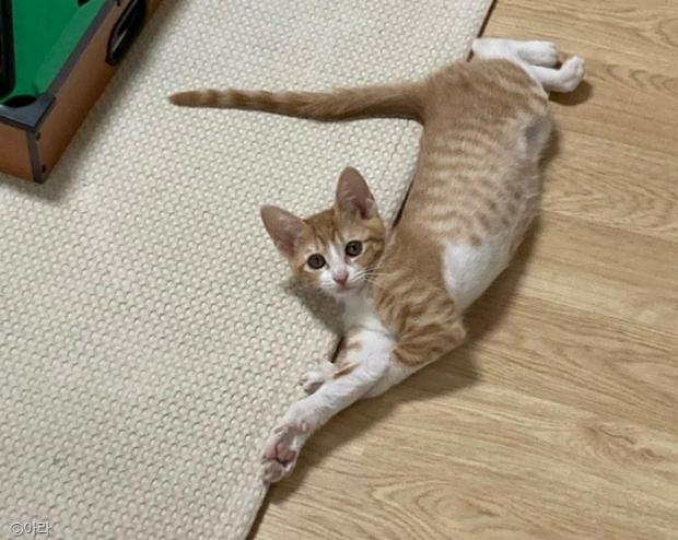 ㅇㅇㅇ