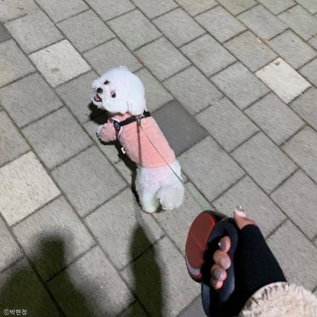 ⓒ노트펫
