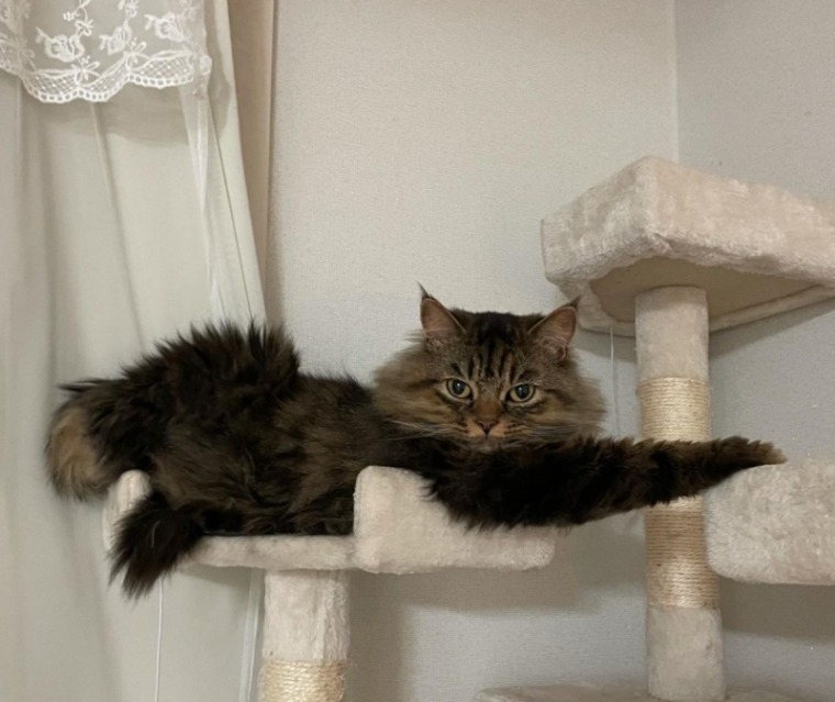 batch_01_미쯔.jpg