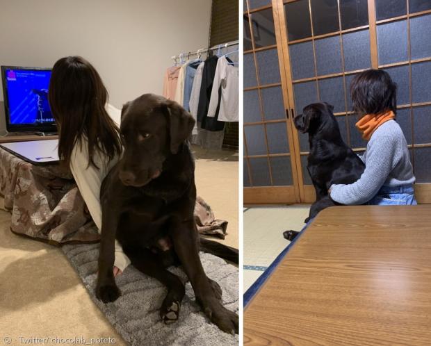아직 어린 포테토는 보호자와 같이 보내는 시간이 좋다.