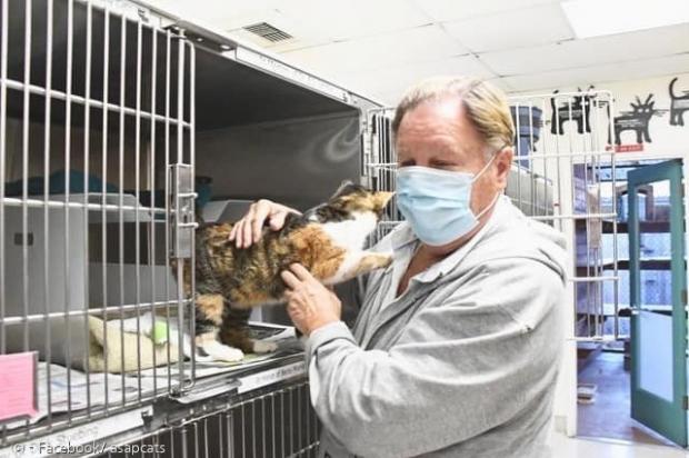 보가텔로의 품에 안기는 고양이 패치스. 