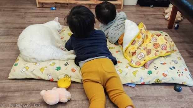 남매 육아에 지쳐 잠든 고양이 블랑.
