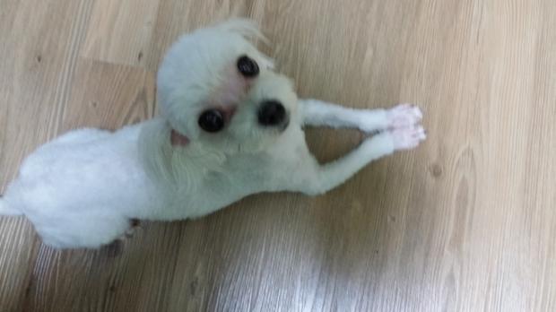 온라인 커뮤티니 네이트판