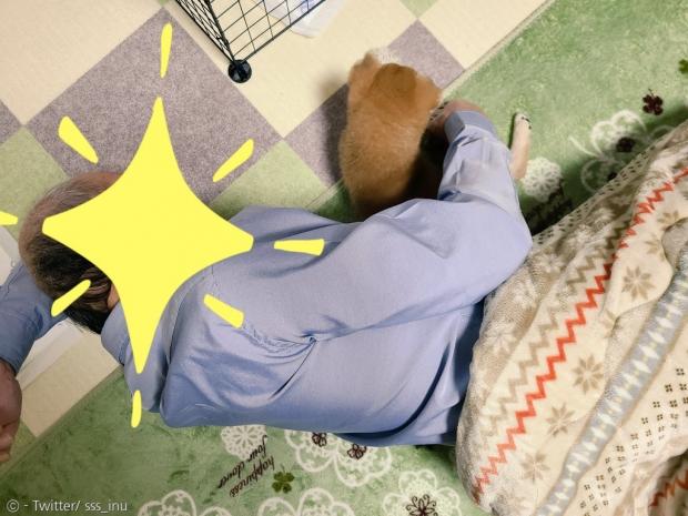 평소 반려동물에게 관심이 없던 아빠는 강아지 보리에게 푹 빠졌다.