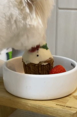 batch_04.gif
