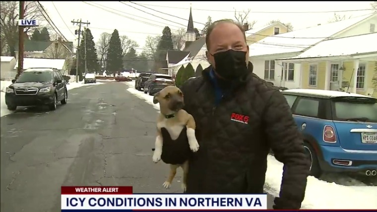 batch_05.jpg
