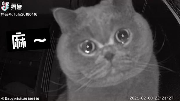 ㅁ