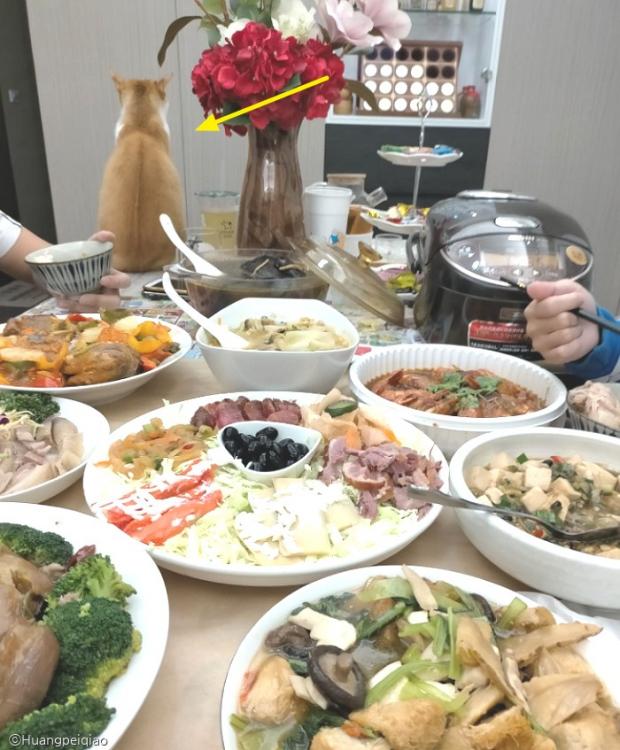 삐진 티 팍팍 내기 위해 식탁 위에 자리 잡은 아미.