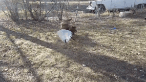 batch_03.gif