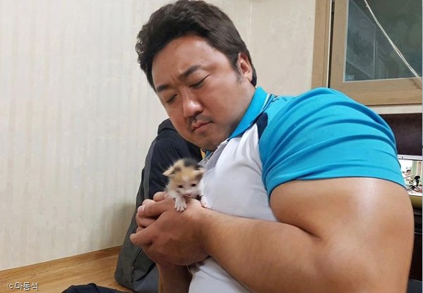 ⓒ노트펫