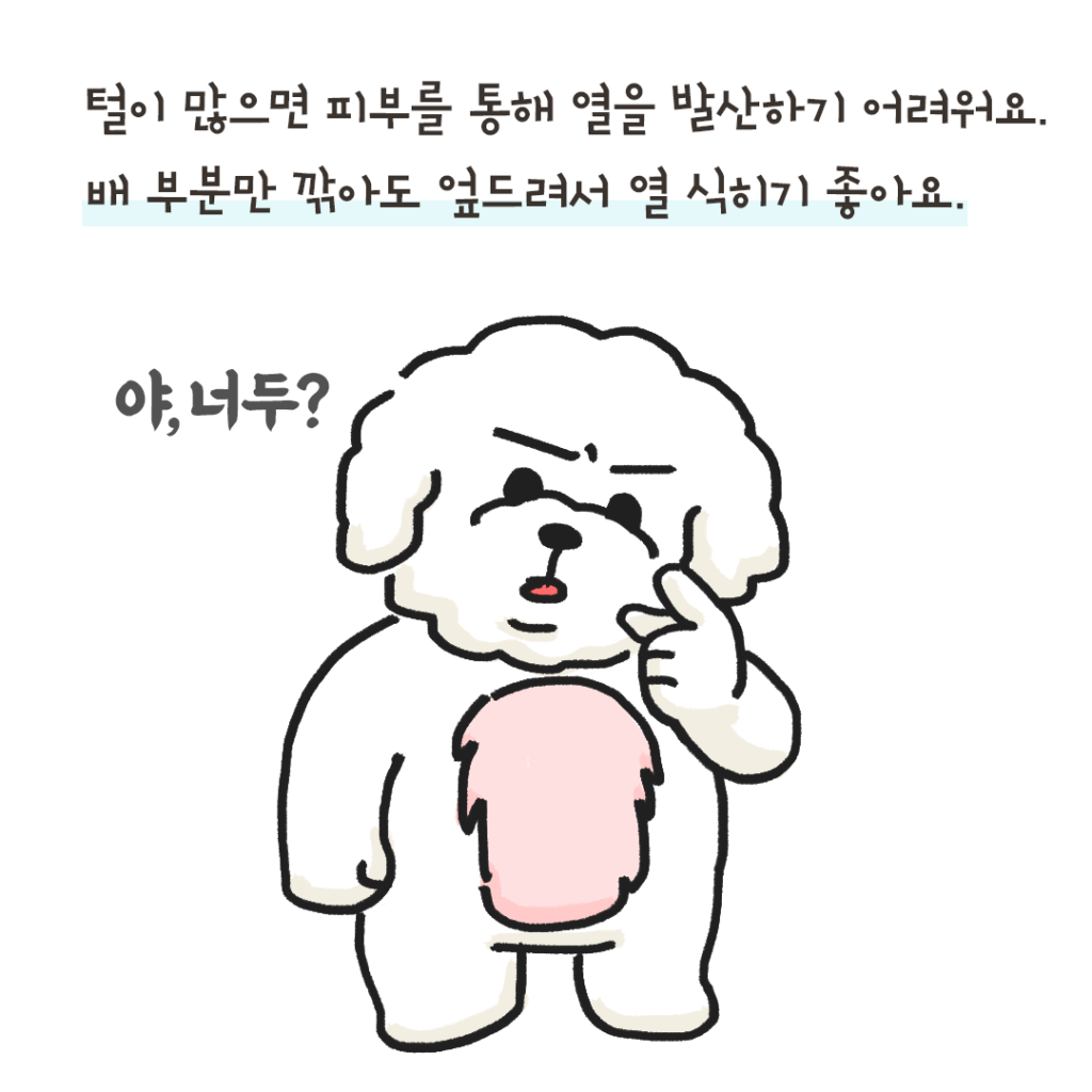 강아지 더위