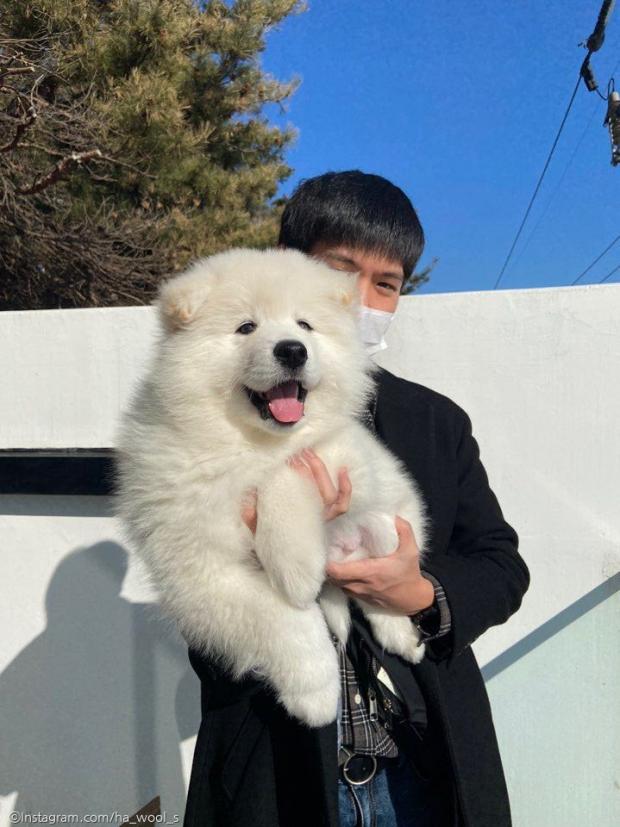 ⓒ노트펫