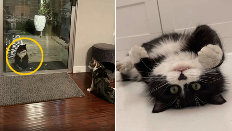 batch_07.jpg