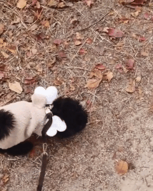 batch_09.gif