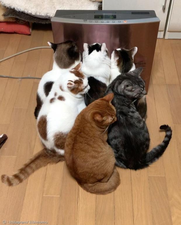 이렇게 시중들거면 관둬라옹!