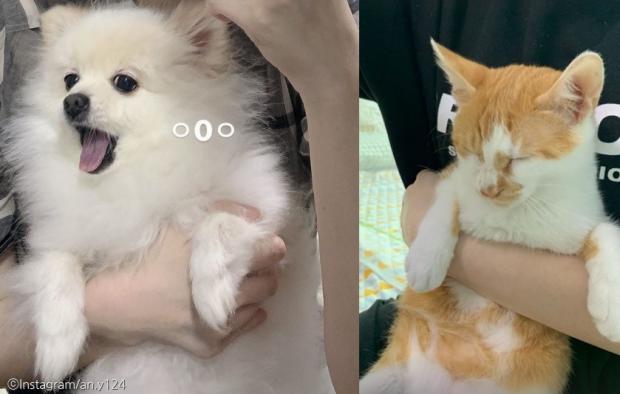 ⓒ노트펫