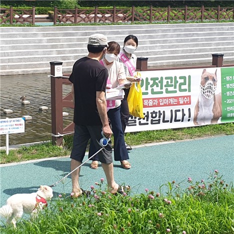 지난해 7월 은평구 직원들이 반려동물 문화 캠페인을 벌이는 모습. 사진 은평구