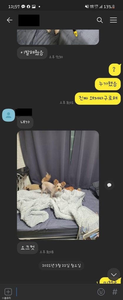 ⓒ노트펫