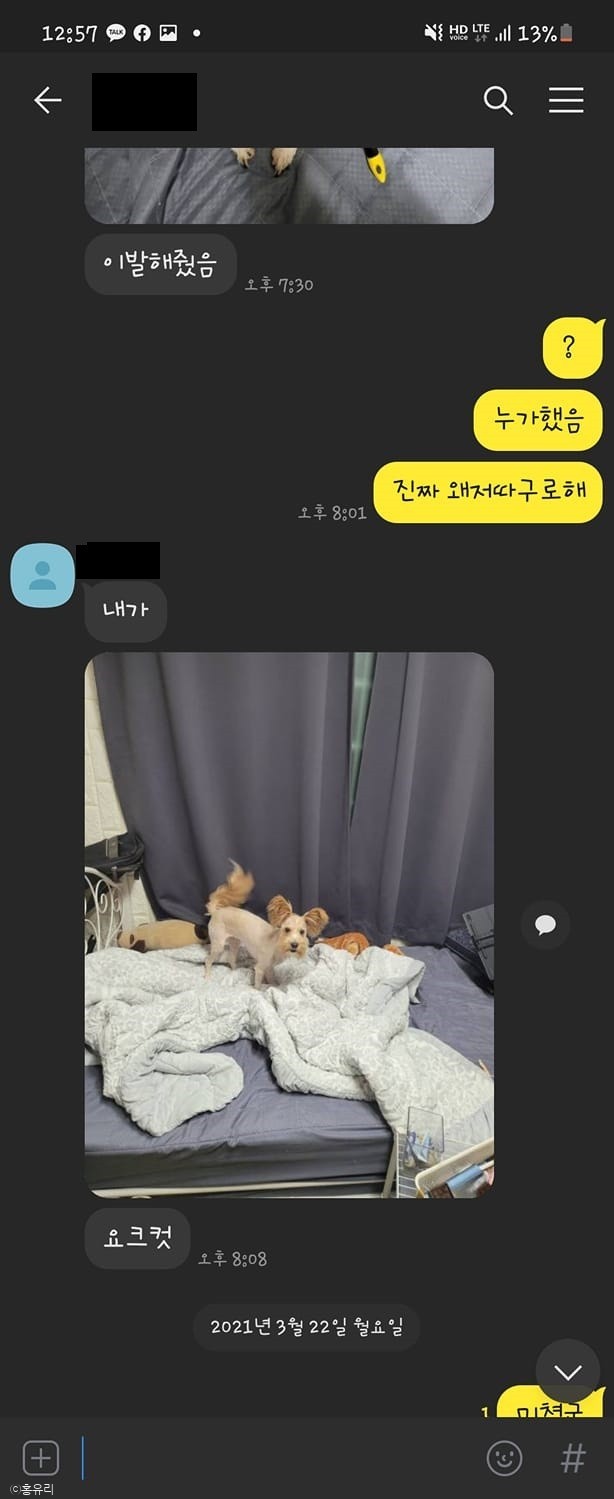 ⓒ노트펫