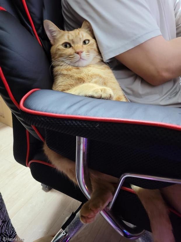 ⓒ노트펫