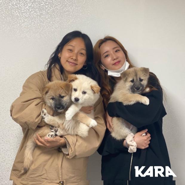 ㅇㅇ