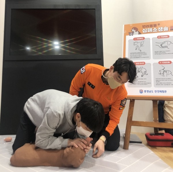 ⓒ노트펫