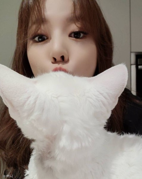 ⓒ노트펫