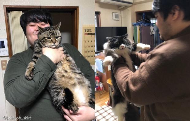 (좌)뾰로통한 얼굴로 안겨 있는 냥이/(우)당장이라도 하악질을 할 것 같은 냥이.