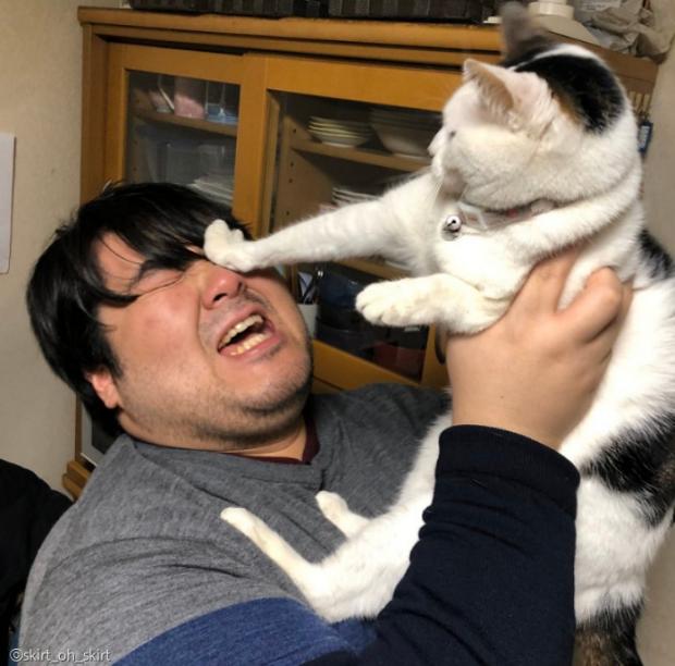 집사의 부담스러운 애정 표현에 냥펀치를 날리는 냥이.