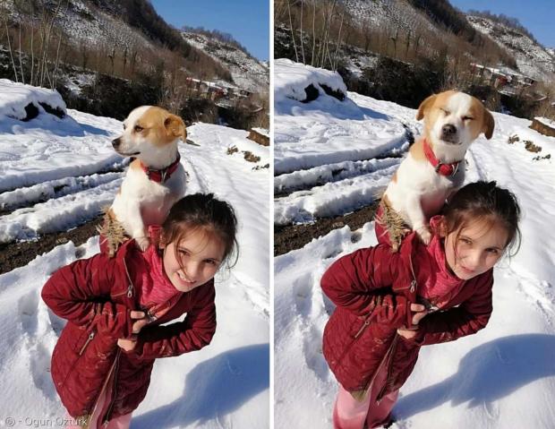 8살 소녀가 아픈 반려견 파묵을 수의사에게 보이기 위해서 1킬로미터 넘는 눈길을 걸어왔다. [출처: 오군 오즈투르크]