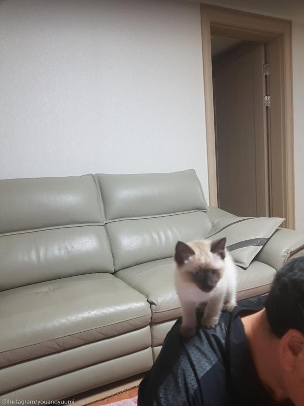 ⓒ노트펫
