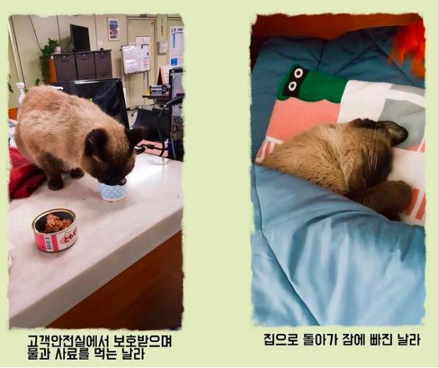 서울교통공사 인스타그램 캡처