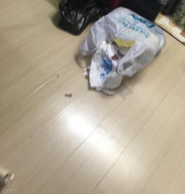 ⓒ노트펫