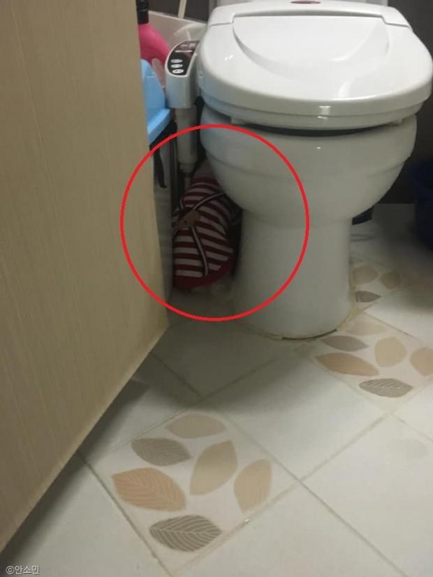 ⓒ노트펫