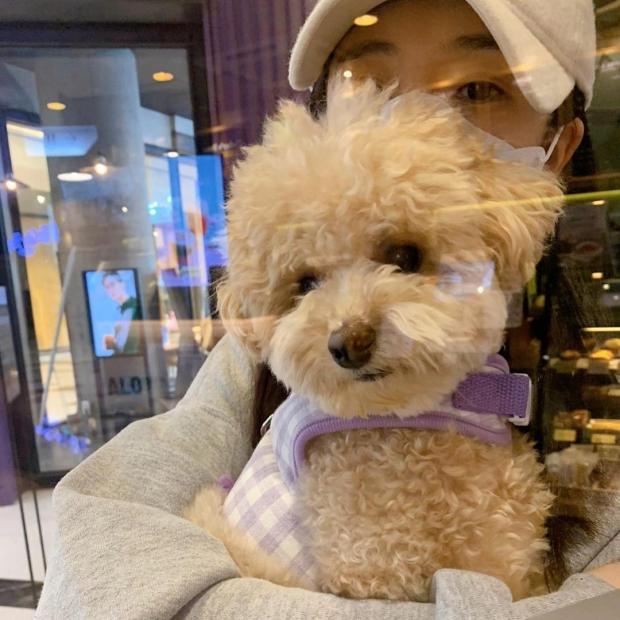 백진희 인스타그램 