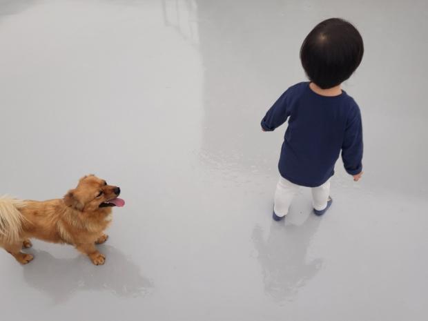 8개월 뒤 훌쩍 자란 4살 아이와 반달이. 반달이도 그새 털이 풍성해지고 한결 여유로워졌다. 