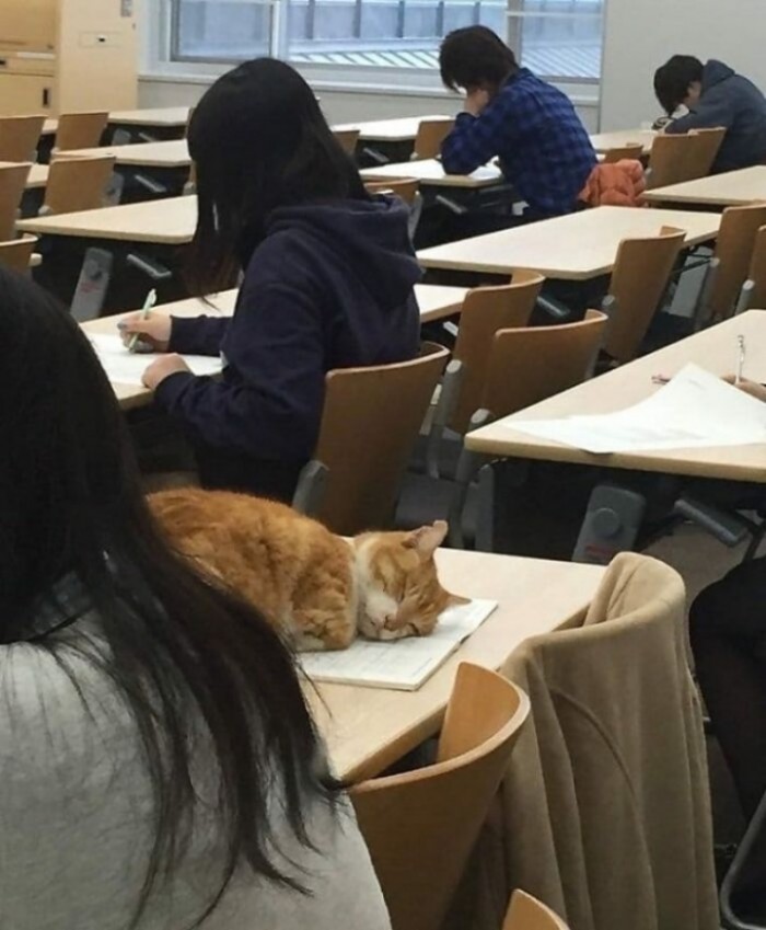 batch_07.jpg