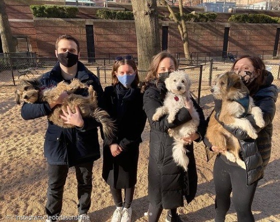 뉴욕에서 상봉한 텍사스 유기견 삼부자. 왼쪽부터 아빠 마빈, 리오, 머레이  순이다. [출처: Instagram/ leobitasunshine]
