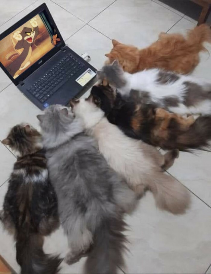 batch_07.jpg