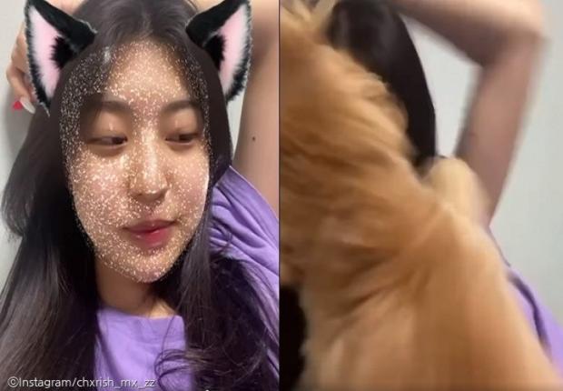 ⓒ노트펫