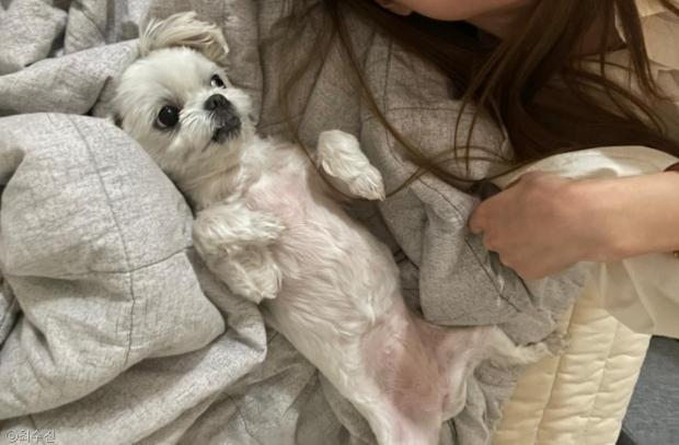 ⓒ노트펫