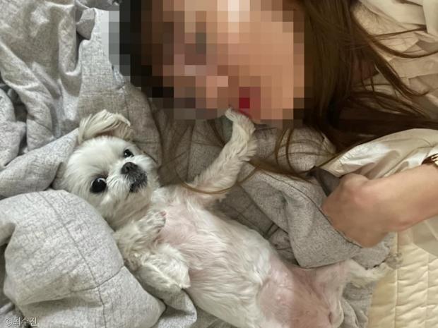 ⓒ노트펫