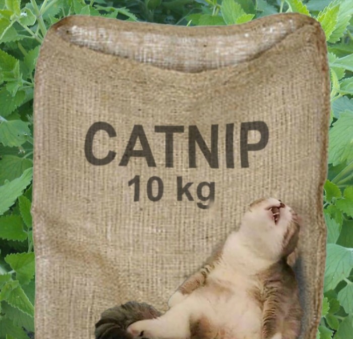 batch_02.jpg