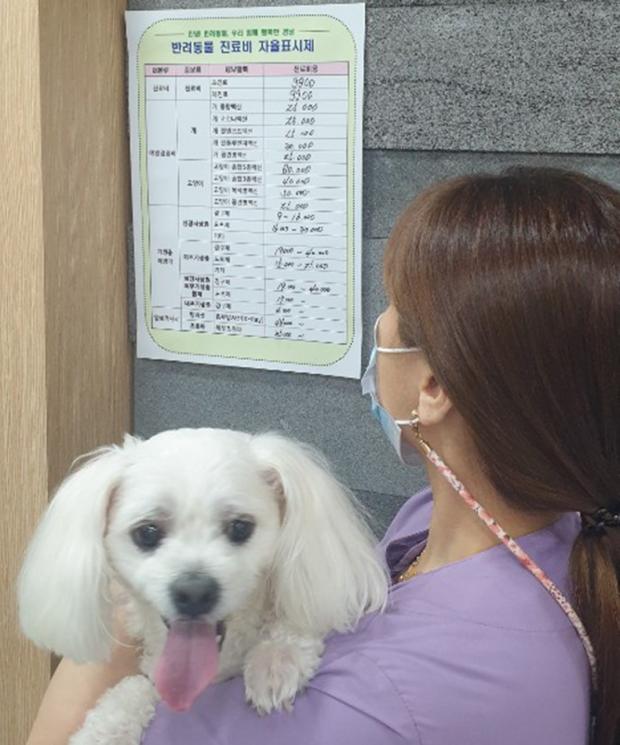 지난해 10월 창원 지역에서 전국 최초로 동물병원 진료비 자율표시제가 시행됐다. 사진 경상남도. 