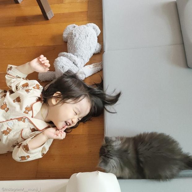 ⓒ노트펫