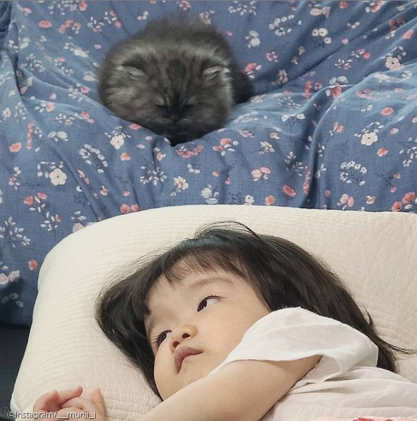 ⓒ노트펫