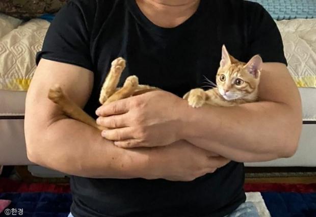 ⓒ노트펫