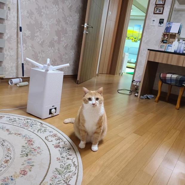 ⓒ노트펫
