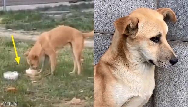[사진=인민망 영상 갈무리(이하)]